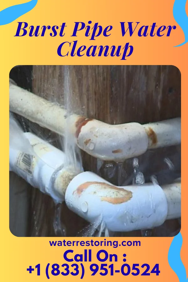 Burst Pipe Water Cleanup in Linton Hall, VA