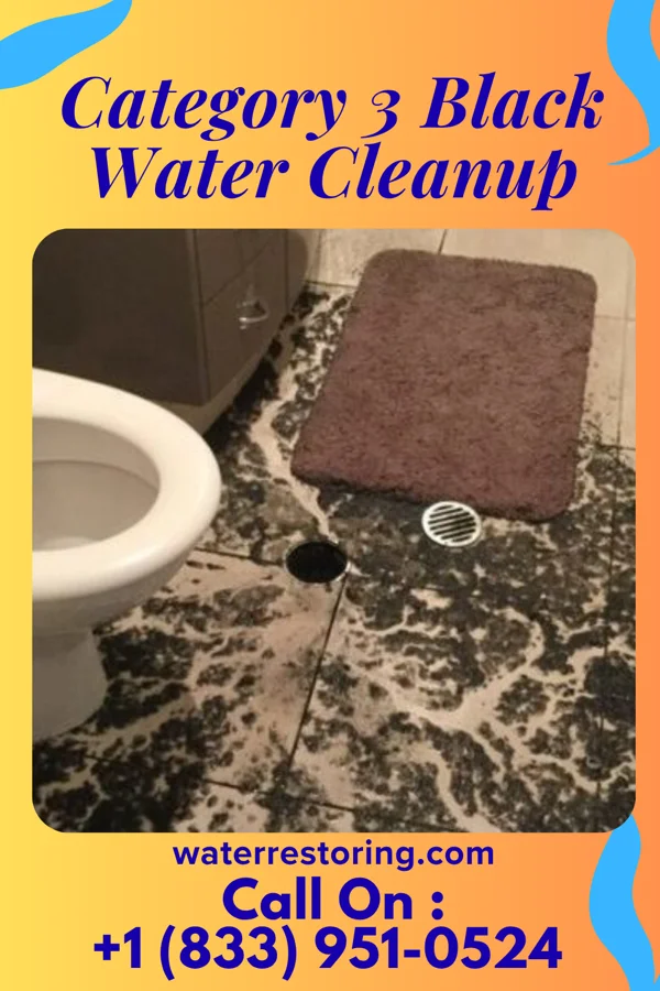 Category 3 Black Water Cleanup in Linton Hall, VA