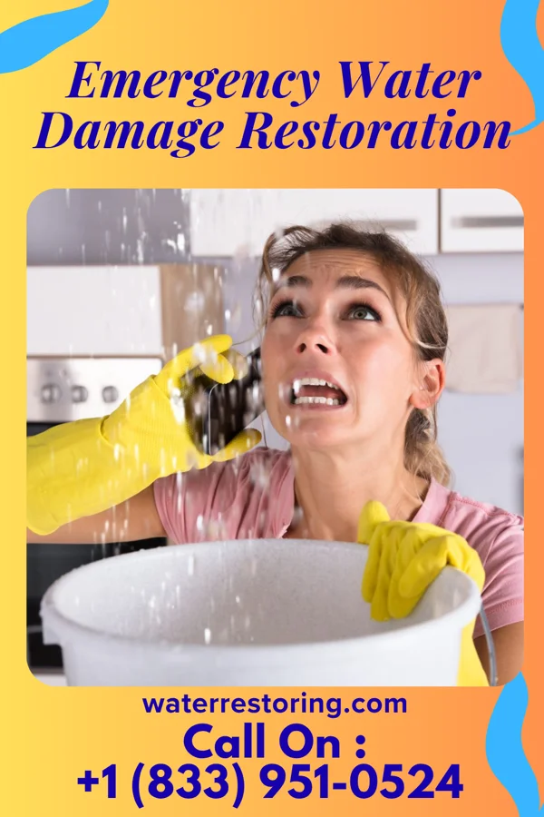 Emergency Water Damage Restoration in Linton Hall, VA