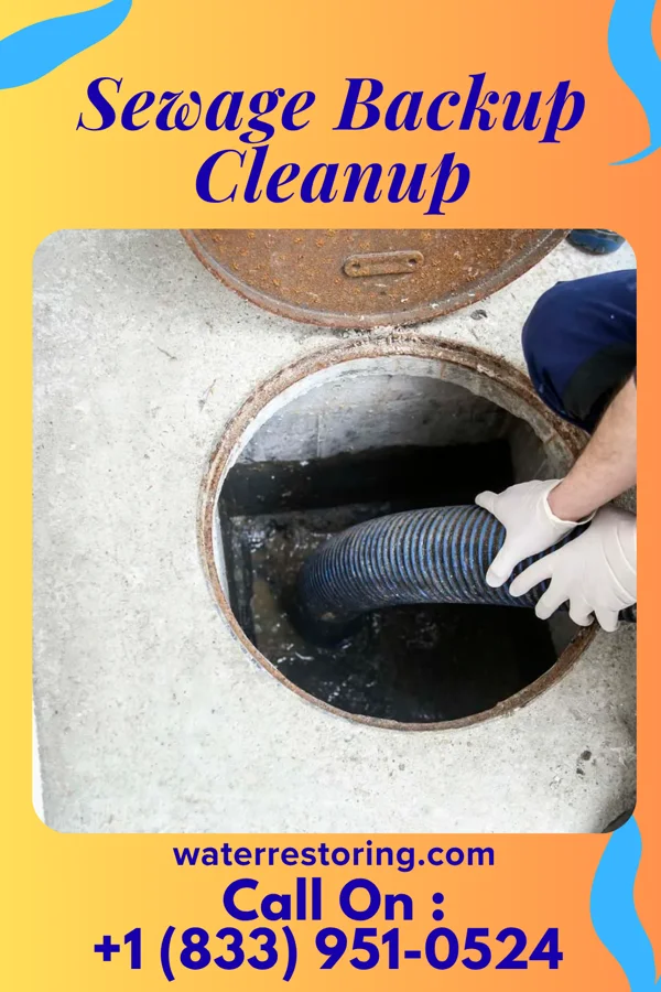 Sewage Backup Cleanup in Linton Hall, VA