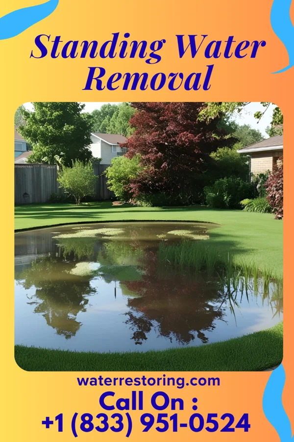 Standing Water Removal in Linton Hall, VA